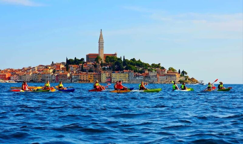 Rovinj-Amazing kayak tour &snorkeling &free drink &photos - Marine Life Encounters and Snorkeling Opportunities