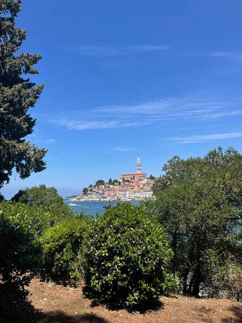 Rovinj: BUBA SUNSET KAYAK, snorkeling&driknks incuded - Experiencing the Sunset Over the Adriatic