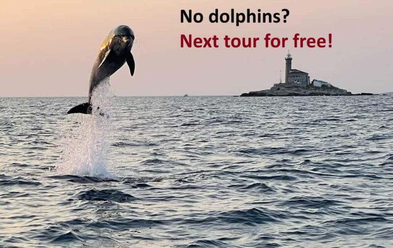 Rovinj: Dolphin Watching Sunset Speedboat Tour with Drinks - Key Points