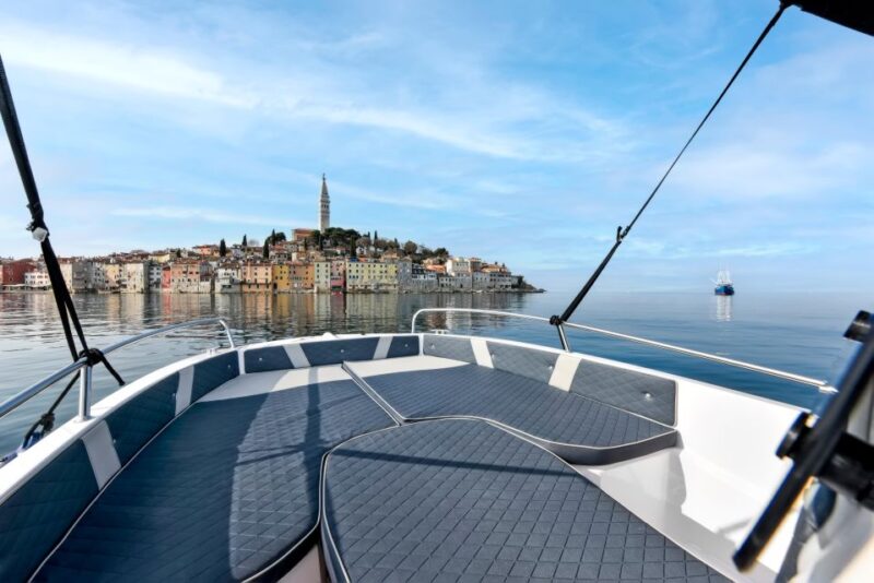 Rovinj: Dolphin Watching Sunset Speedboat Tour with Drinks - Respectful Approach Toward Marine Life