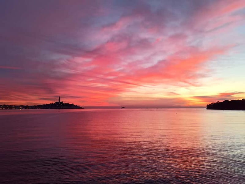 Rovinj: Dolphin Watching Sunset Speedboat Tour with Drinks - The Guides and Their Knowledge