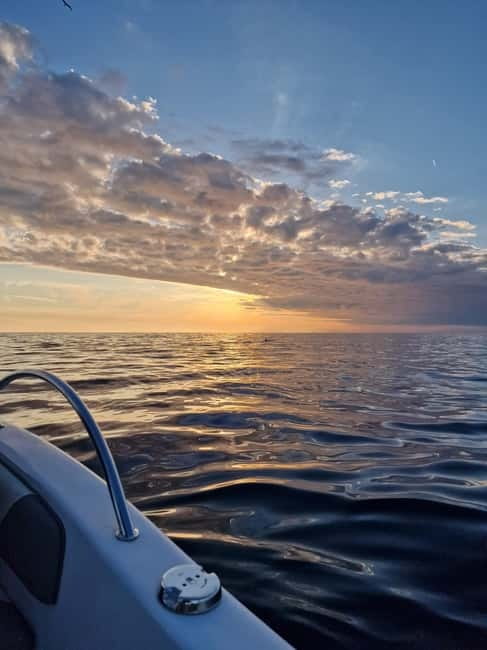 Rovinj Islands: 3-Hour Tour with Swimming and Snorkeling - Included Amenities and Practical Details