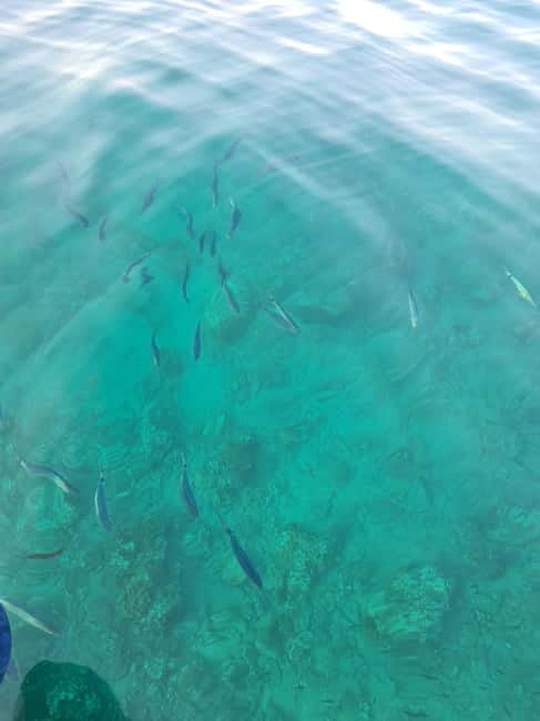 Rovinj Islands: 3-Hour Tour with Swimming and Snorkeling - Who Will Enjoy This Tour Most