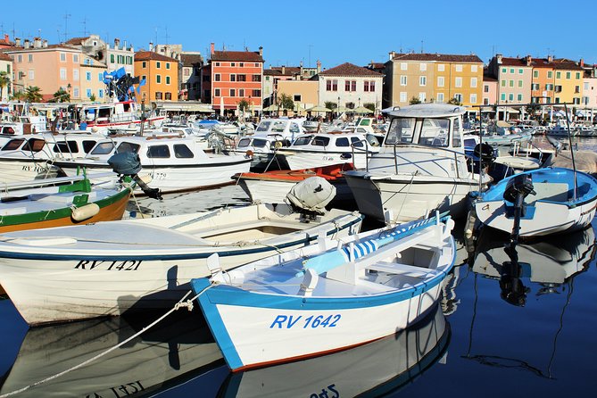 Rovinj private biking tour by electric powered bike - Exploring the Coastal Paths and Woodland Trails