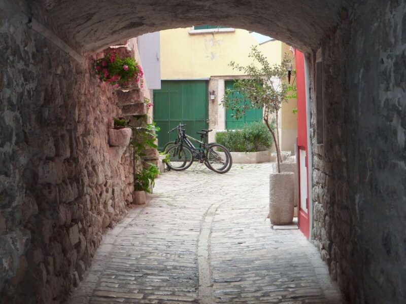 Rovinj: Private Walking Tour - Key Points