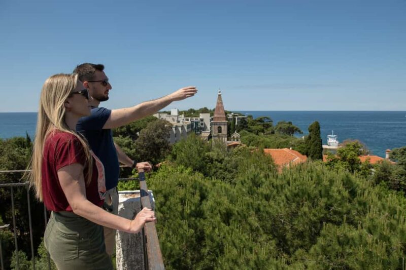 Rovinj: Rovinj Islands and Lim Fjord Speedboat Tour - Practical Information and Accessibility