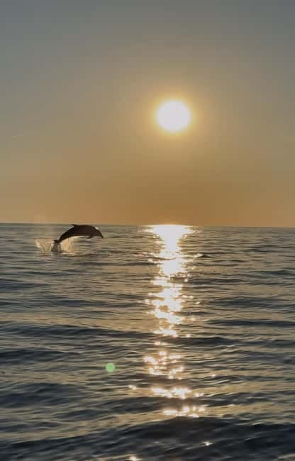 Rovinj: Shared Dolphin and Sunset Tour with Drinks - The Boat and Crew: A Small, Friendly Group