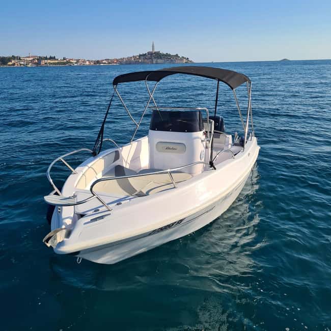 Rovinj: Shared Dolphin and Sunset Tour with Drinks - Practical Tips for Participants