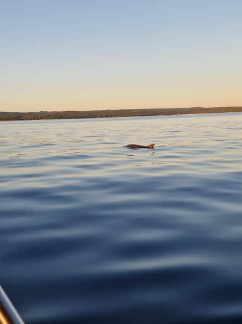 Rovinj: Shared Dolphin and Sunset Tour with Drinks - Final Thoughts on the Rovinj Sunset and Dolphin Tour