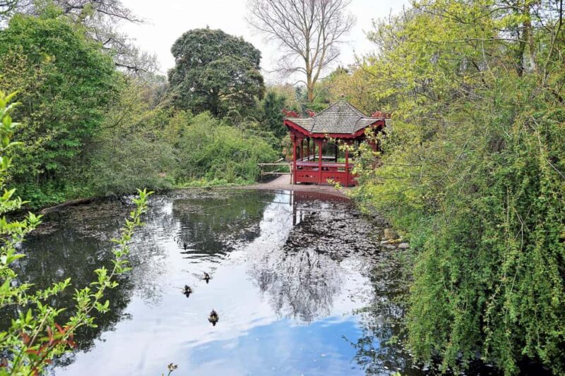 Royal Botanic Garden Edinburgh Private Guided Tour - The 2-Hour Option: Focused and Efficient