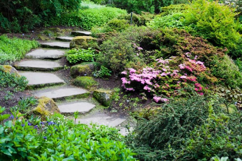 Royal Botanic Garden Edinburgh Private Guided Tour - Accessibility and Practical Tips for Visiting