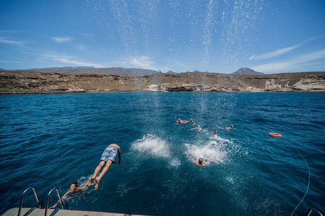 Royal Delfin 3H Dolphin & Whale Watching! Swimming & Lunch! - Wildlife Sightings: Success and Limitations