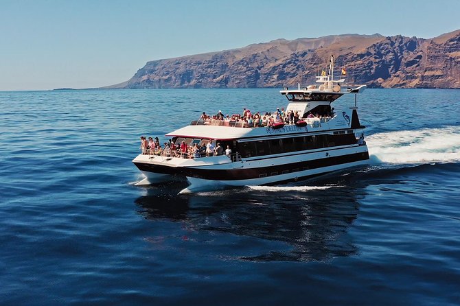Royal Delfin - 4'5H Dolphin & Whale Watching - Los Gigantes Masca - Lunch & Swim - Key Points