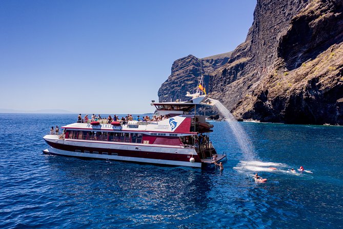 Royal Delfin - 4'5H Dolphin & Whale Watching - Los Gigantes Masca - Lunch & Swim - Swimming Stop in Masca Bay