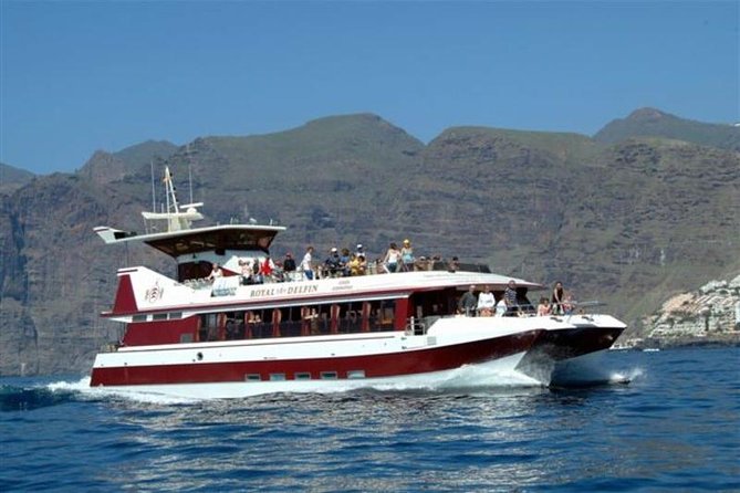 Royal Dolphin Whale watching excursion - Handling Seasickness and What to Bring