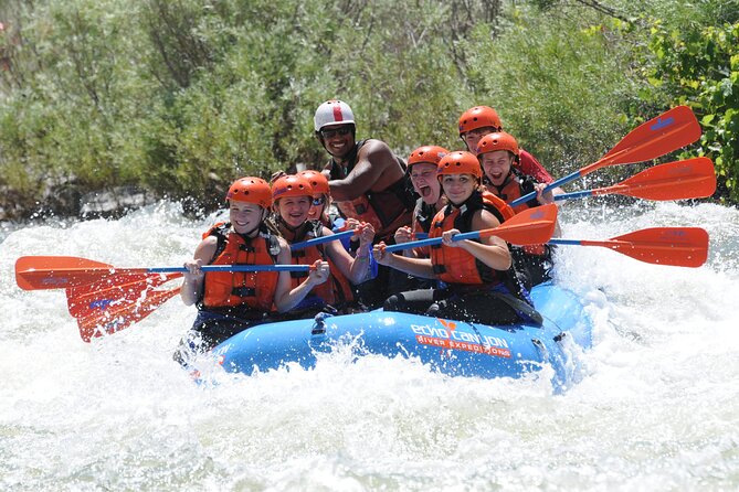 Royal Gorge Half Day Rafting in Cañon City (Free Wetsuit Use) - Expert Guides and Customer Satisfaction
