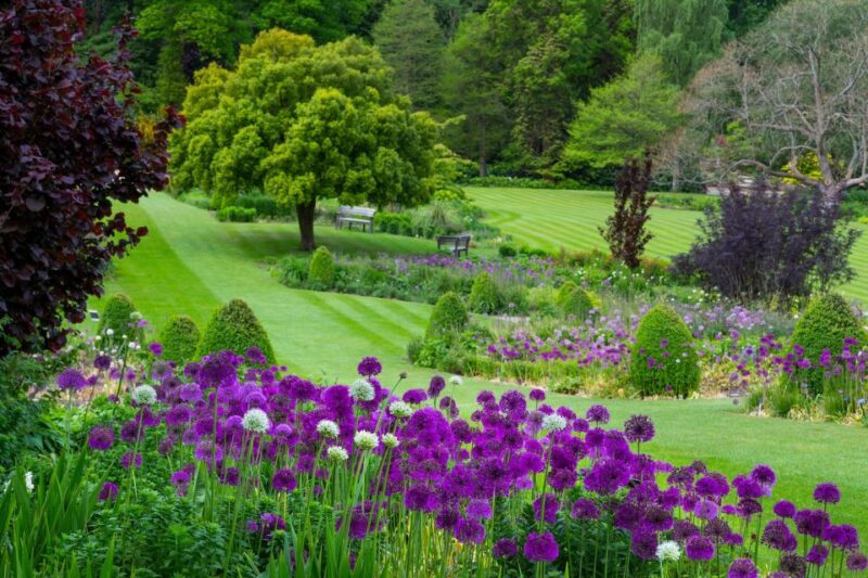 Royal Horticultural Society: Harlow Carr Garden Ticket - Exploring the Gardens of Yorkshire’s Harlow Carr