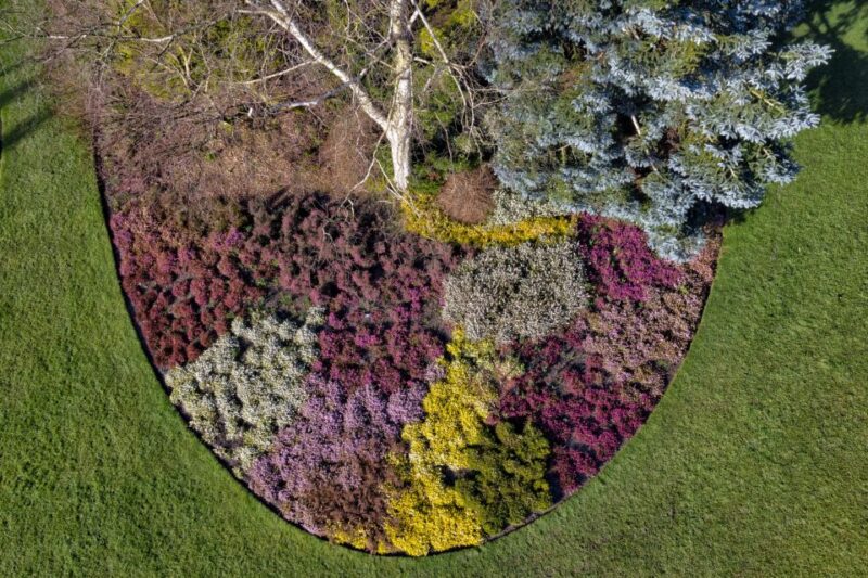 Royal Horticultural Society: Harlow Carr Garden Ticket - Enjoying the Queen Mother’s Lake and Redwood Views