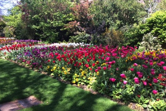 Royal London Private Walking Tour - Final Thoughts on the Royal London Private Walking Tour