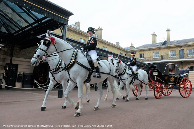 Royal Tour & Buckingham Palace State Rooms or Royal Mews Option - Choosing Your Experience: Royal Mews or Buckingham Palace State Rooms