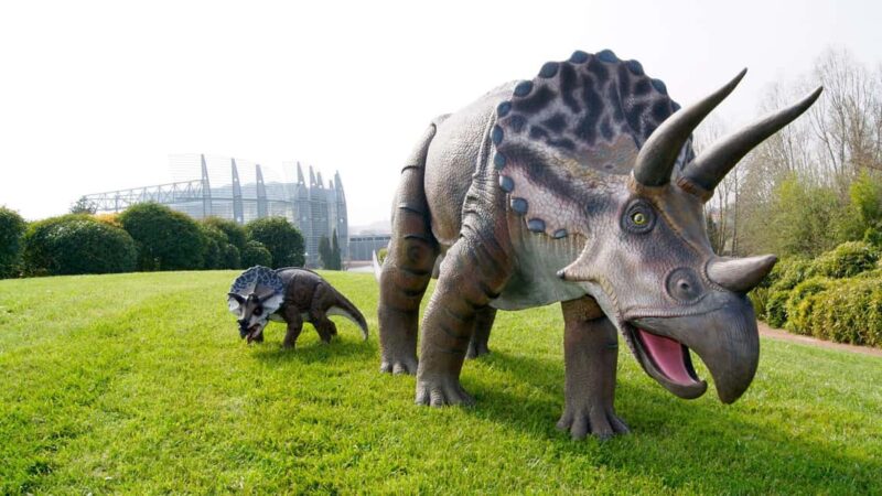 Royan: Planet Exotica Entry Ticket - Participating in Interactive Activities