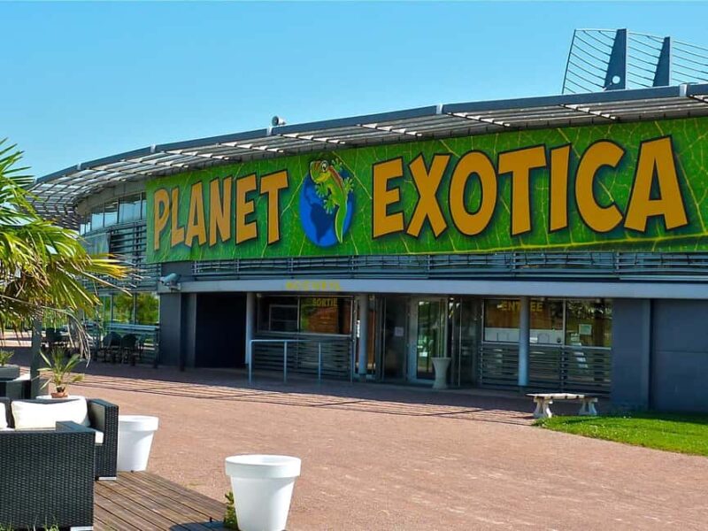 Royan: Planet Exotica Entry Ticket - Practical Details and Accessibility
