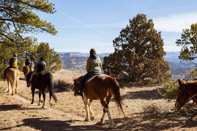 Ruby's Horseback Adventures Utah 1.5 Hour Ride - What Horses and Guides Bring to the Experience