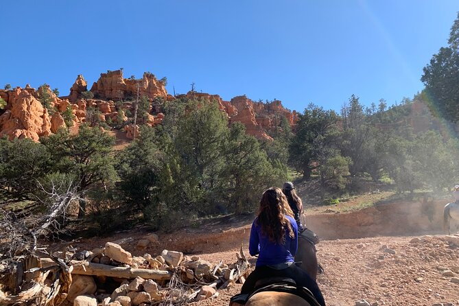 Ruby's Horseback Adventures Utah Half Day Ride - The Scenic Trails of Red Canyon and Losee Canyon