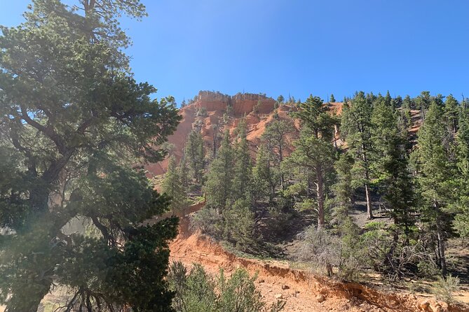 Ruby's Horseback Adventures Utah Half Day Ride - Guides That Share Local Stories and History
