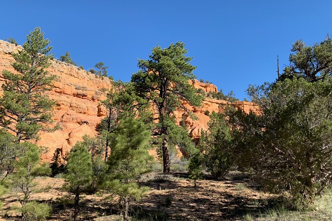 Ruby's Horseback Adventures Utah Half Day Ride - Suitable for Families and Beginners