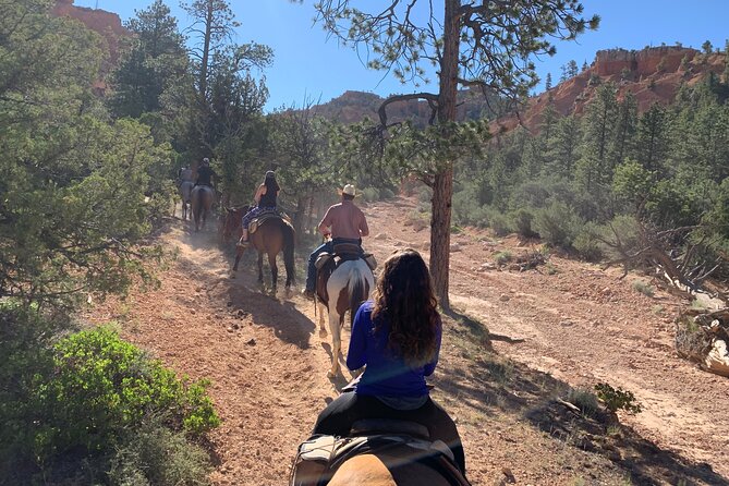 Ruby's Horseback Adventures Utah Half Day Ride - The Experience of Riding Through Bryce Canyon’s Landscape