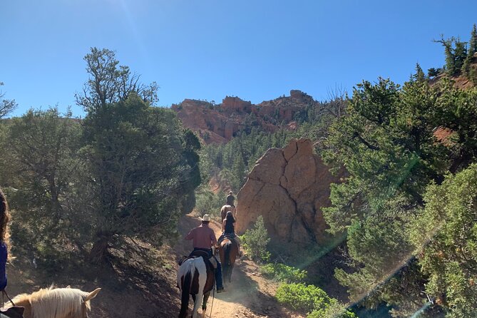 Ruby's Horseback Adventures Utah Half Day Ride - Practical Tips for Booking and Participation
