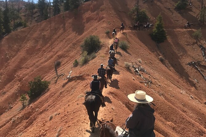 Ruby's Horseback Adventures Utah Thunder Mt. 4 Hour Ride - The Guide and Horses: Safety and Comfort