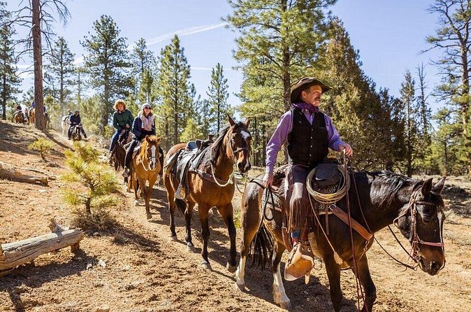 Ruby's Horseback Adventures Utah Thunder Mt. 4 Hour Ride - Physical Requirements and Accessibility