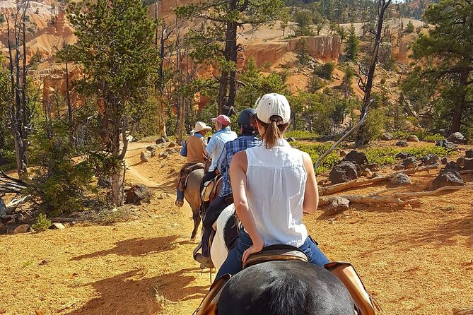 Ruby's Horseback Adventures Utah Thunder Mt. 4 Hour Ride - Comparing the Thunder Mountain Ride with Other Bryce Canyon Tours