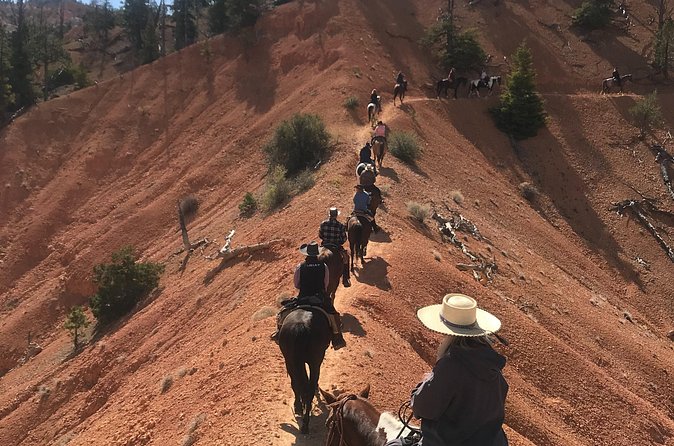 Ruby's Horseback Adventures Utah Thunder Mt. 4 Hour Ride - Best suited for adventurous families and experienced riders