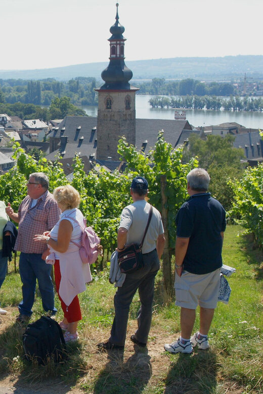 Rüdesheim am Rhein: city tour - Key Points