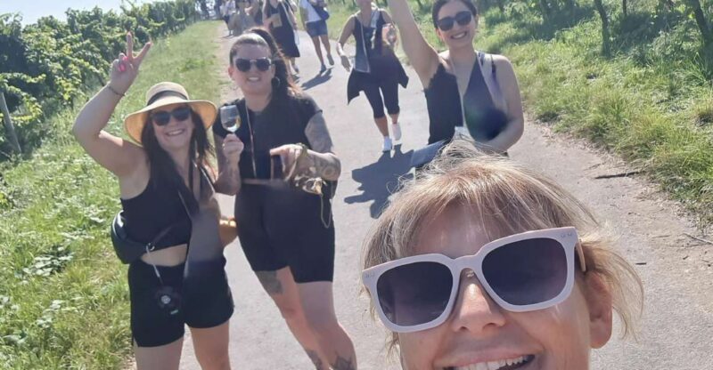 Rüdesheim am Rhein: wine hike and sights - Key Points