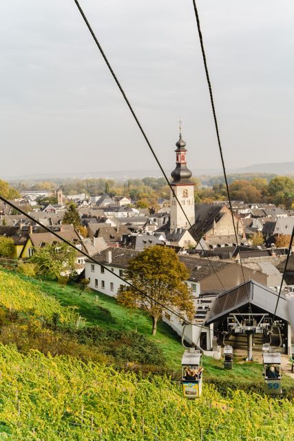 Rüdesheim am Rhein: wine hike and sights - The Cable Car Ride to Germania and Views from Above