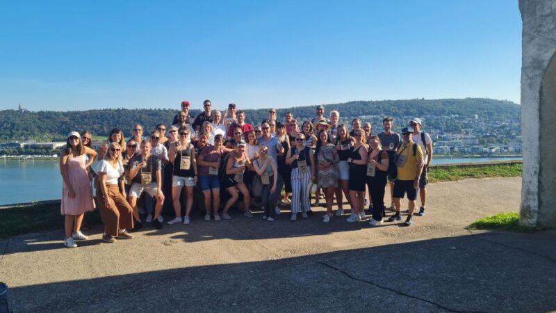 Rüdesheim am Rhein: wine hike and sights - Wine Tastings from Small Regional Winemakers