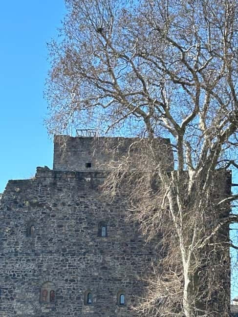 Rüdesheim: city tour with music and wine and Rüdesheim coffee - Who Will Love This Tour?