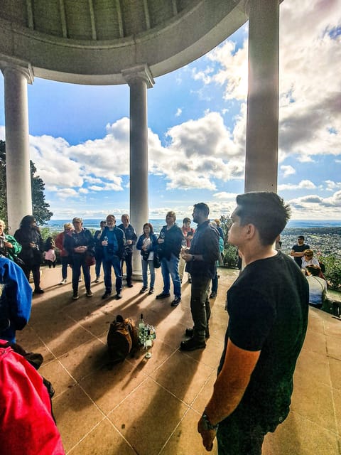 Rüdesheim - Guided wine hikes with 4wines and cable car ride - Cable Car Ride Over the Vineyards to Niederwald
