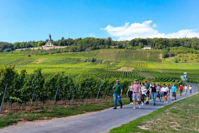 Rüdesheim - Guided wine hikes with 4wines and cable car ride - The Vaulted Cellar and Additional Tastings