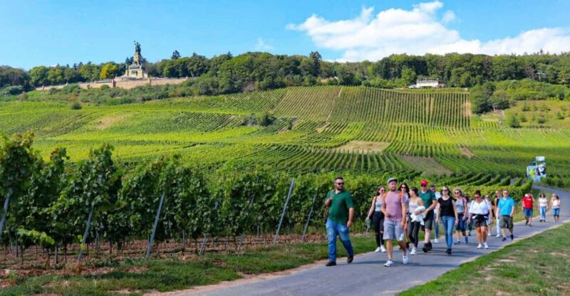 Rüdesheim - Guided wine hikes with 4wines and cable car ride - Who Will Enjoy This Tour Most?