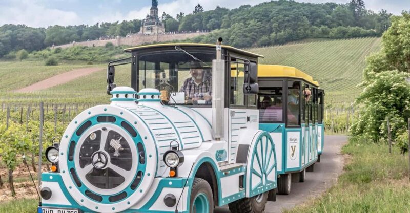 Rüdesheim sightseeing tour with the Winzerexpress - Limitations and considerations for potential travelers