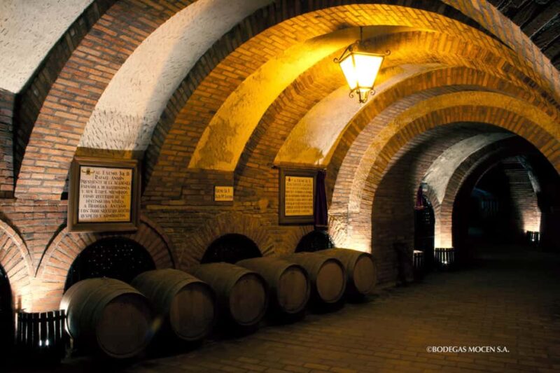 Rueda, Valladolid: Visit Bodegas Mocén for art, history, culture, and wine - The Unique Library Inaugurated by Camilo José Cela