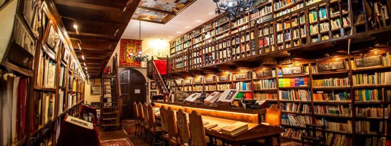 Rueda, Valladolid: Visit Bodegas Mocén for art, history, culture, and wine - Who Should Consider This Tour?