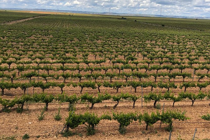 Rueda White Wine Tour with Michelin-Star Lunch from Madrid - Savoring a Michelin-Star Tasting Menu in Matapozuelos