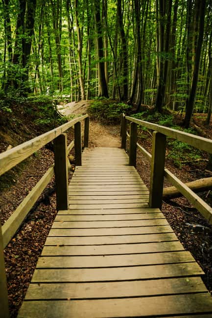 Rügen Island: OneDay trip on the Baltic seacoast from Berlin - Practical Tips for the Rügen Day Trip