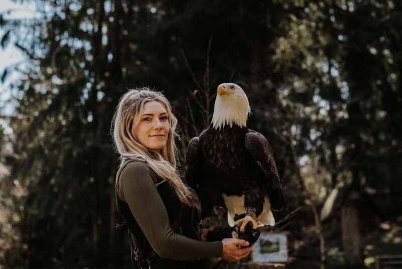 Ruhla: Ticket for a flight show with eagles, owls, and more. - Discovering the Falconry Center in Ruhla